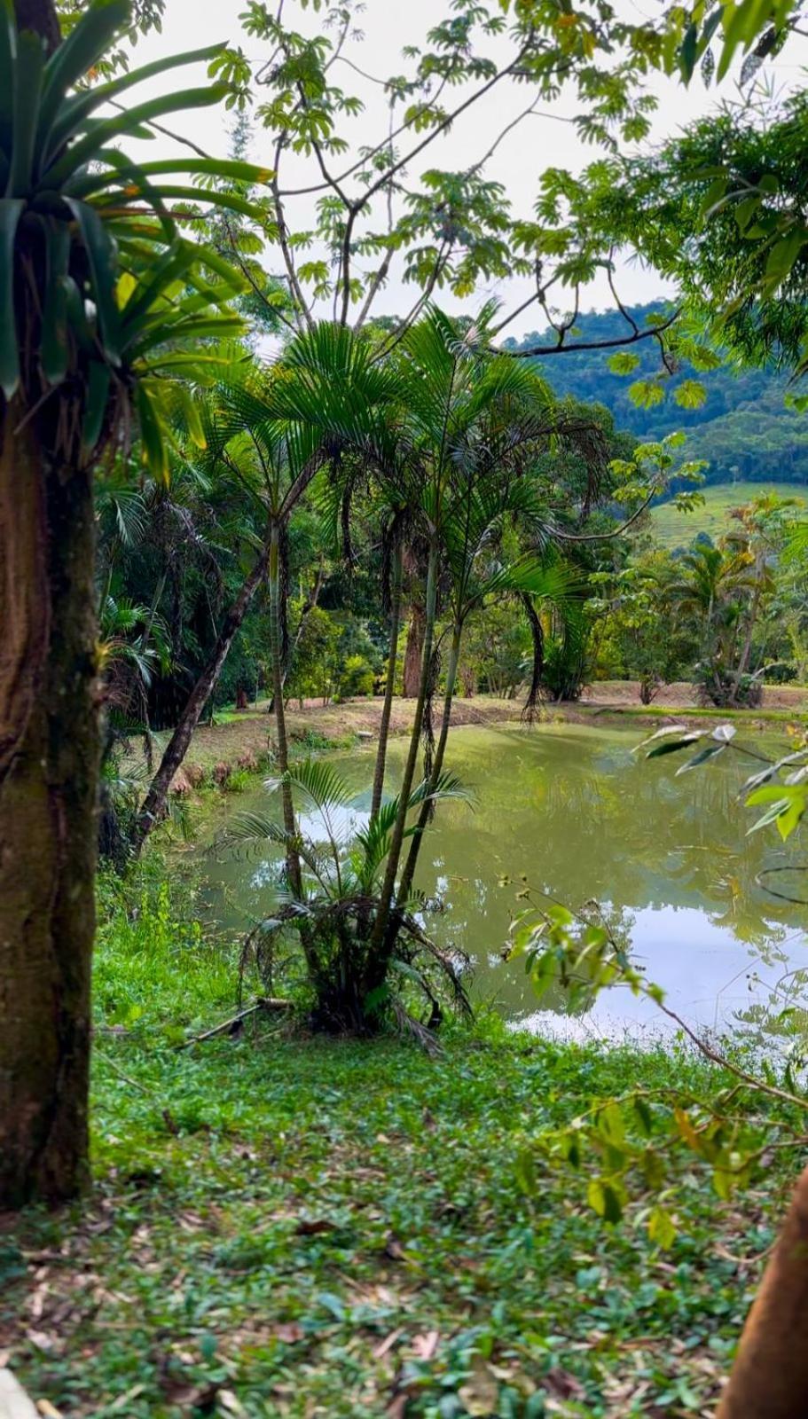 Chale Joao De Barro Villa Taubate Bagian luar foto