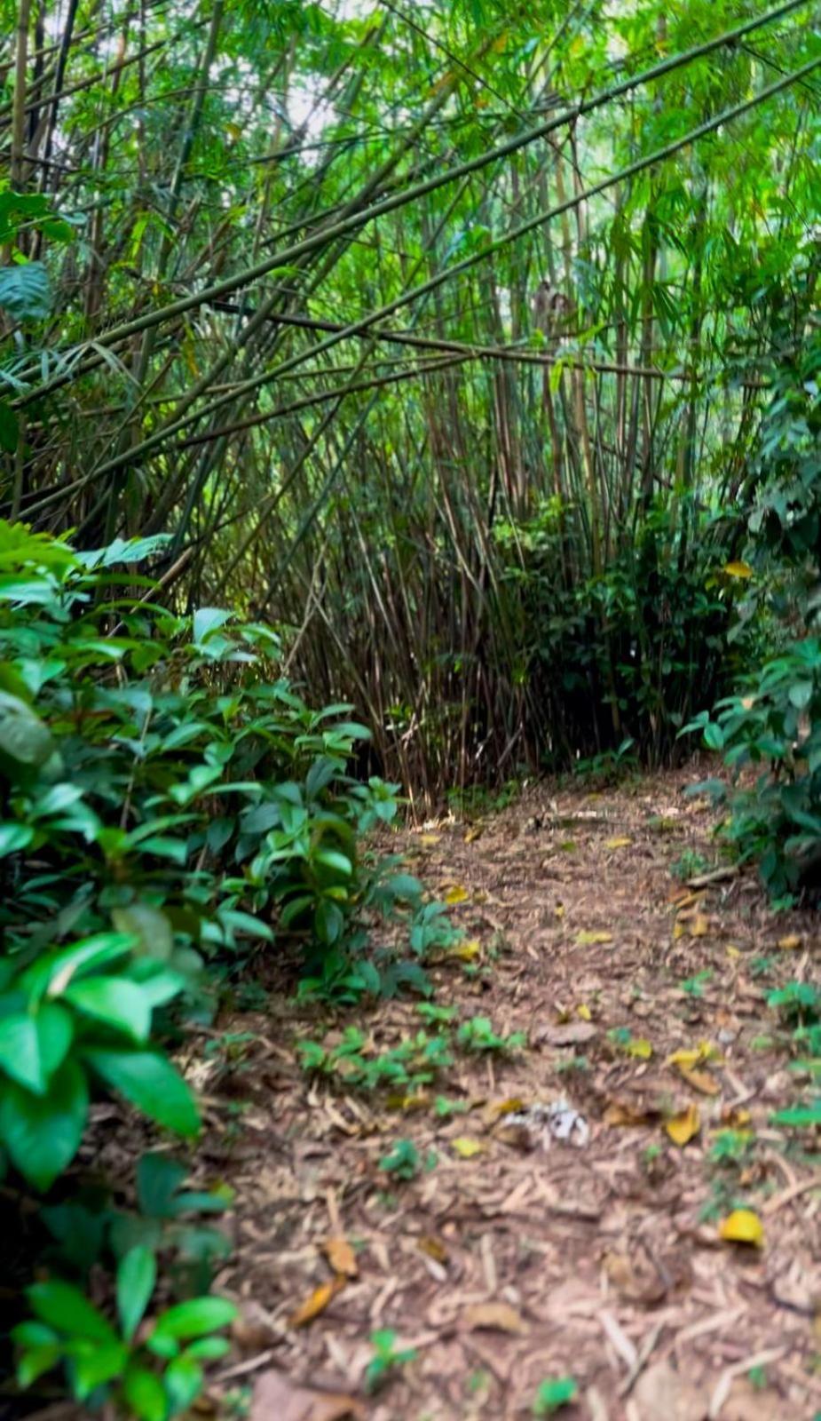 Chale Joao De Barro Villa Taubate Bagian luar foto